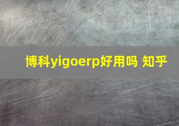 博科yigoerp好用吗 知乎